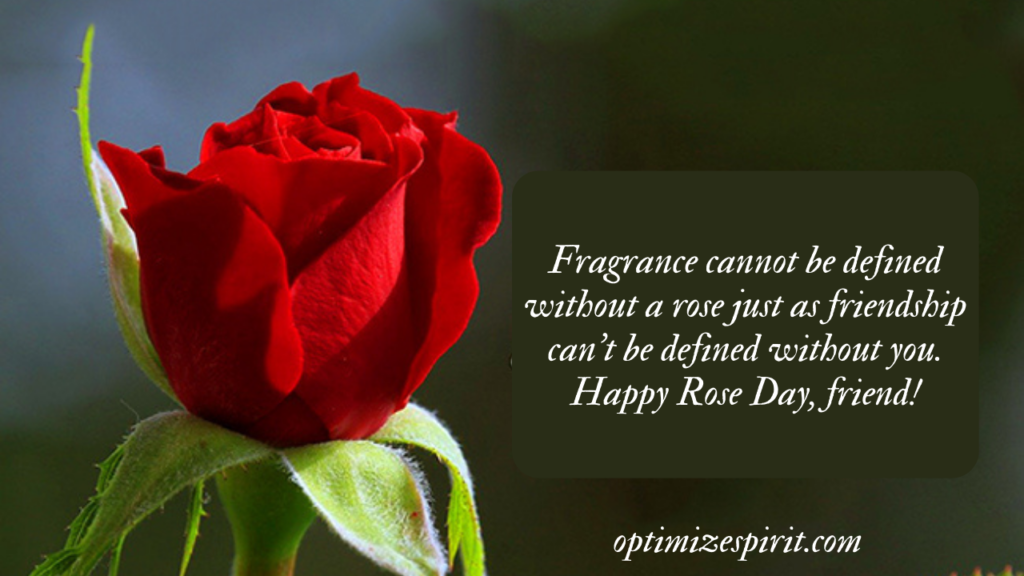 Rose Day Quotes, Wishes and Messages