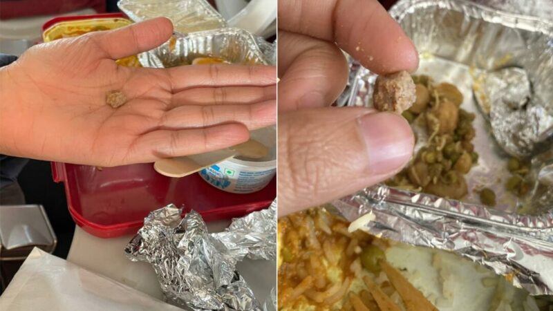 Woman Finds Stone In Meal Served On Air India Flight: ”This Kind Of Negligence Is Unacceptable”