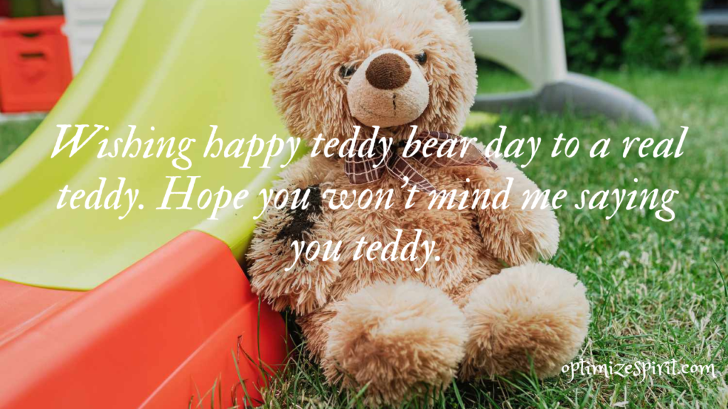 Happy Teddy Day 2023: Best wishes, Quotes  and Messages