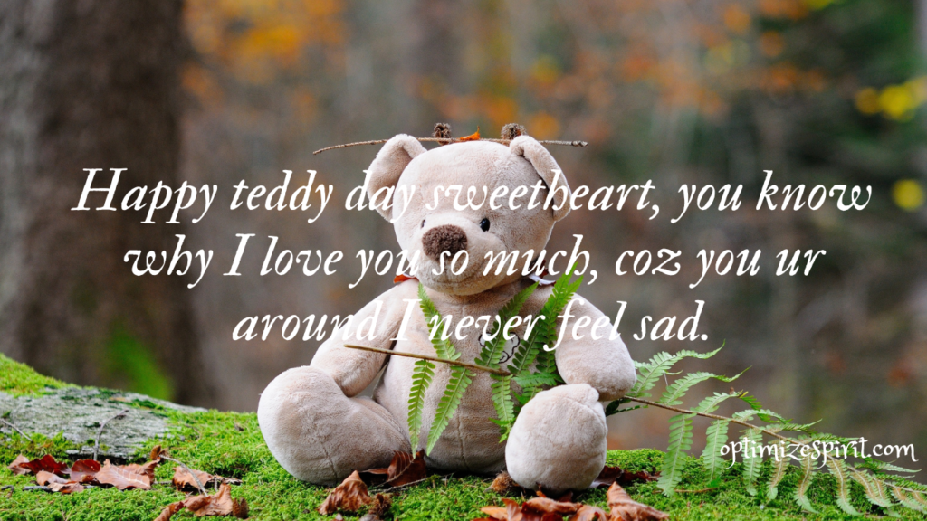 Happy Teddy Day 2023: Best wishes, Quotes  and Messages