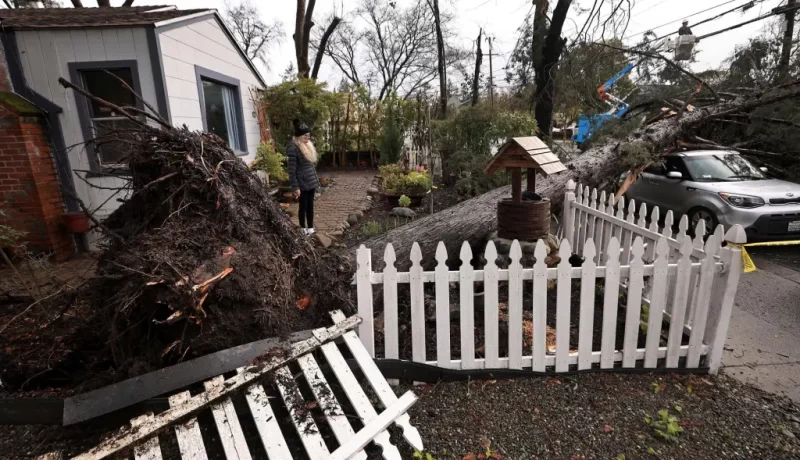 Los Angeles area hit by rare tornado – the strongest one to hit the county since 1983