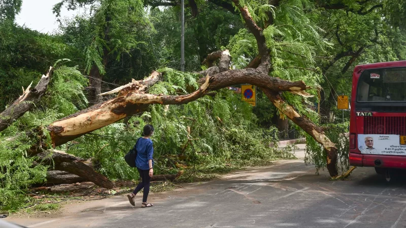 Delhi: Thundershowers, winds gusting to 30-40 km per hour expected today