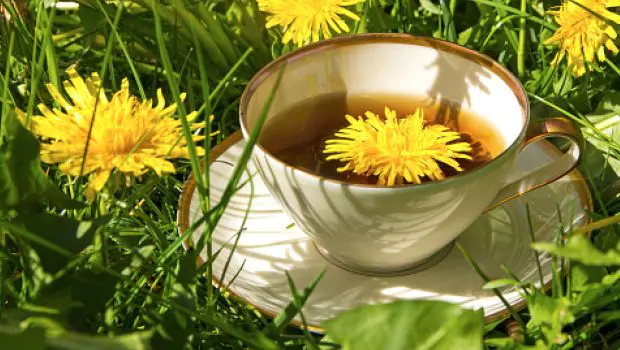 Beat the Bloat Naturally: Try These 5 Herbal Teas for Gas Relief