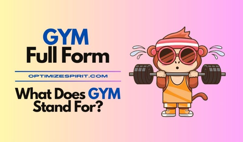 GYM Full Form: What Does GYM Stand For?