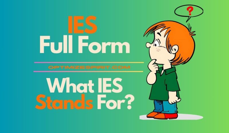 IES Full Form: What IES Stands For?